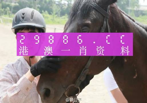 澳门今晚必中一肖一码，科学依据解释落实_储蓄版38.30.78